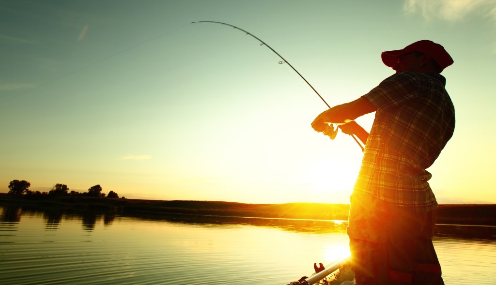 canne_accessori_pesca_sub_velletri